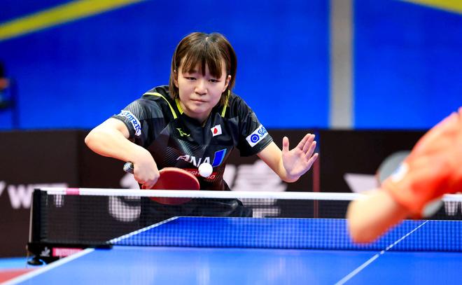 香港公开赛 香港公开赛