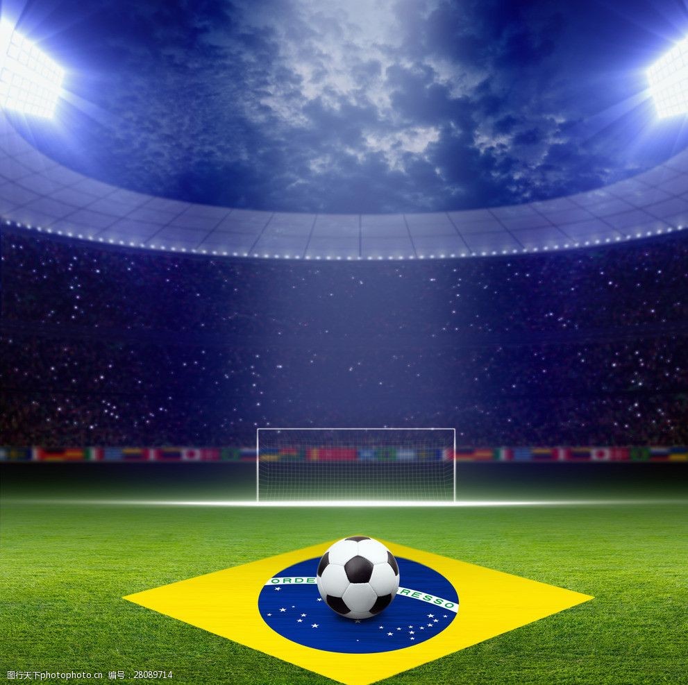 州组织能力 州组织能力