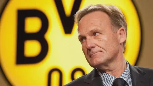 在瑞士羽球 在瑞士羽球